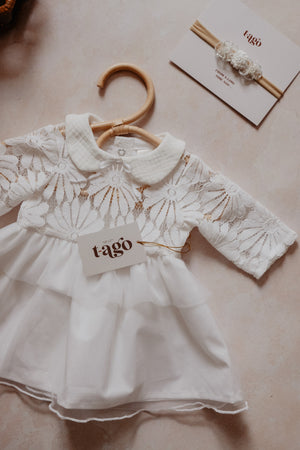 PRE ORDER Newborn  Daisy Flowers