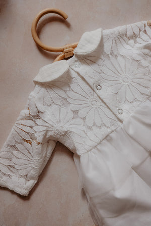 PRE ORDER Newborn  Daisy Flowers