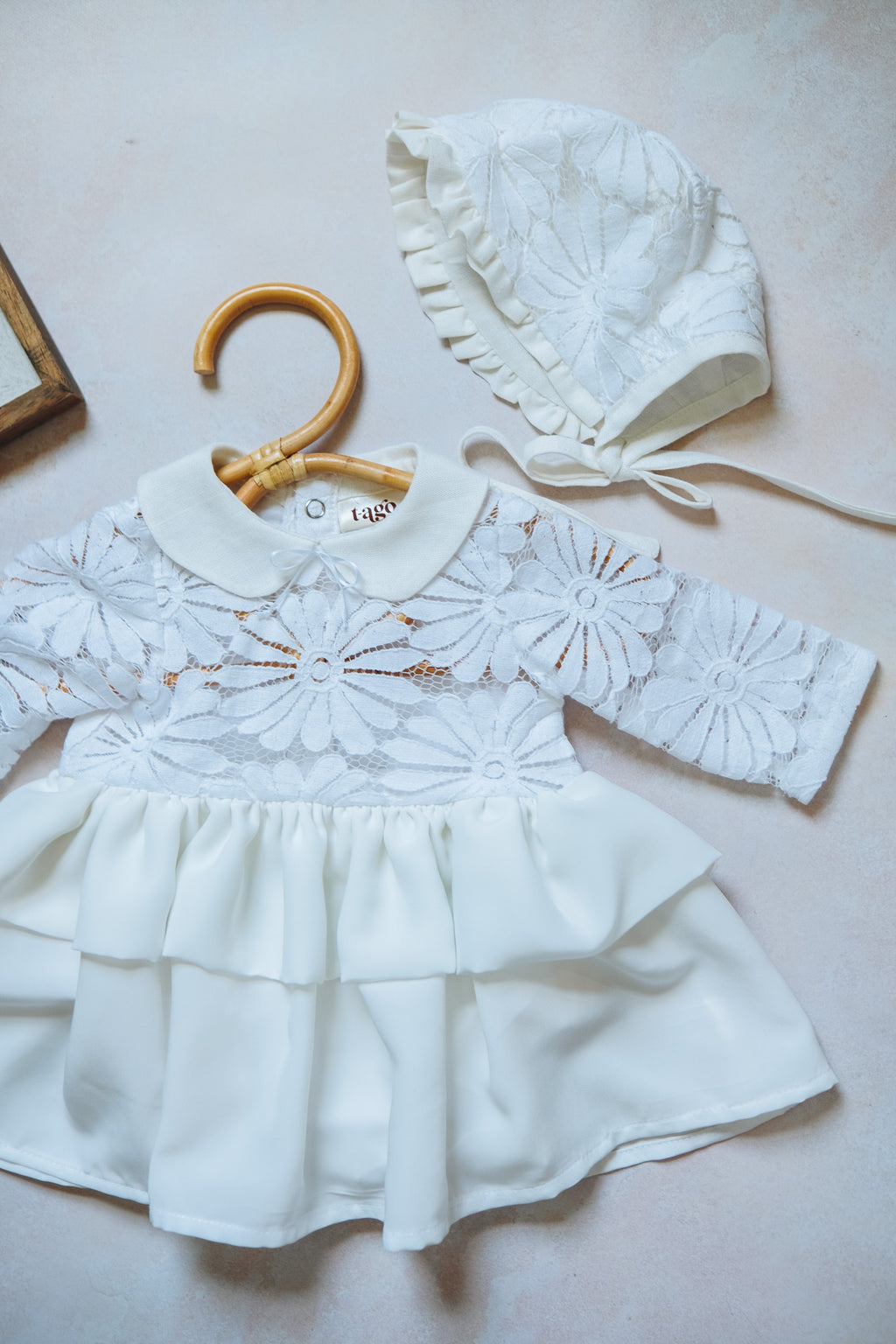 PRE ORDER Newborn  Daisy Flowers