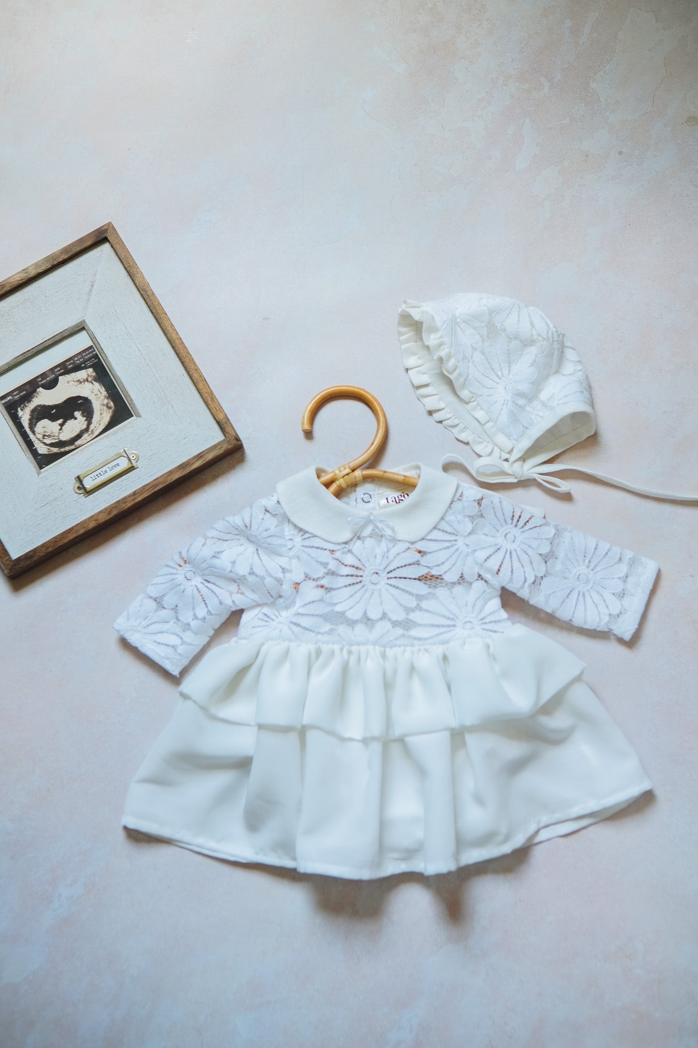 PRE ORDER Newborn  Daisy Flowers